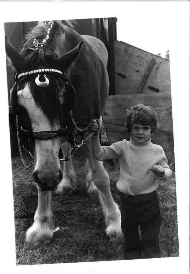 Boy showing a horse