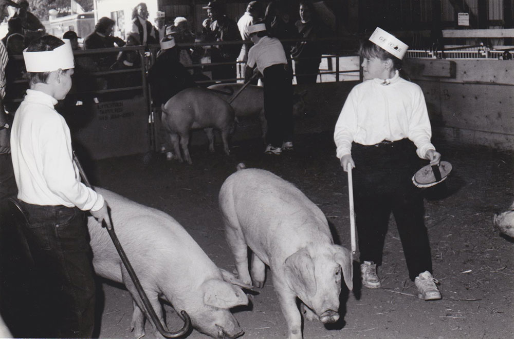 4H kids showing pigs